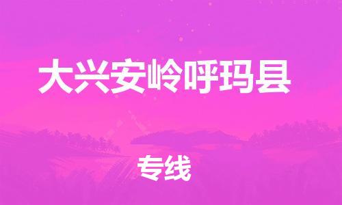 新丰县到大兴安岭呼玛县危险品物流-新丰县到大兴安岭呼玛县危险品运输专线-涂料树脂专业货运欢迎访问