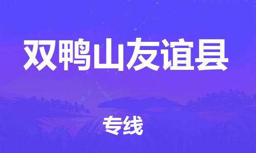 新丰县到双鸭山友谊县危险品物流-新丰县到双鸭山友谊县危险品运输专线-涂料树脂专业货运欢迎访问