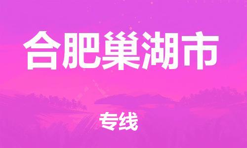 新丰县到合肥巢湖市危险品物流-新丰县到合肥巢湖市危险品运输专线-涂料树脂专业货运欢迎访问