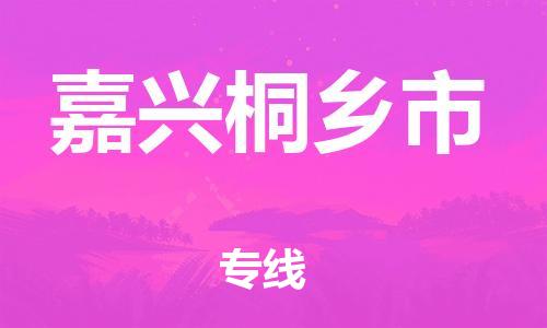 新丰县到嘉兴桐乡市危险品物流-新丰县到嘉兴桐乡市危险品运输专线-涂料树脂专业货运欢迎访问