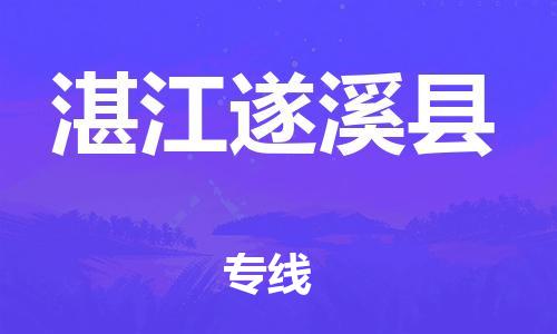 新丰县到湛江遂溪县危险品物流-新丰县到湛江遂溪县危险品运输专线-涂料树脂专业货运欢迎访问