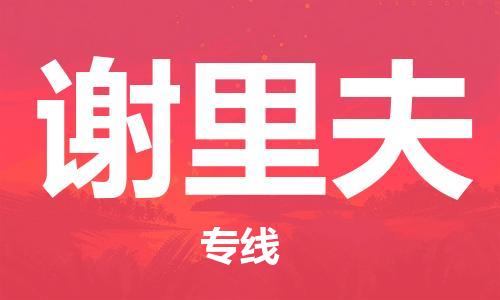 广州到谢里夫物流专线-专业团队为您服务，广州至谢里夫货运