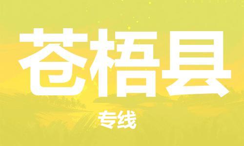 司前镇到苍梧县物流专线|司前镇到苍梧县危化品运输电动车托运