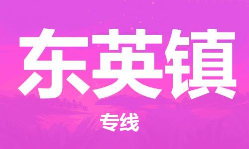 清远到东英镇物流公司-清远至东英镇电动车摩托车托运专线高保真危险品物流专线