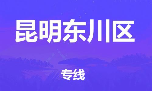 新丰县到昆明东川区危险品物流-新丰县到昆明东川区危险品运输专线-涂料树脂专业货运欢迎访问
