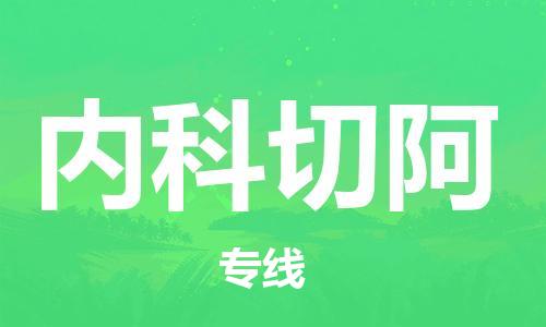 广州到内科切阿物流专线-广州至内科切阿货运严谨管理每一个细节