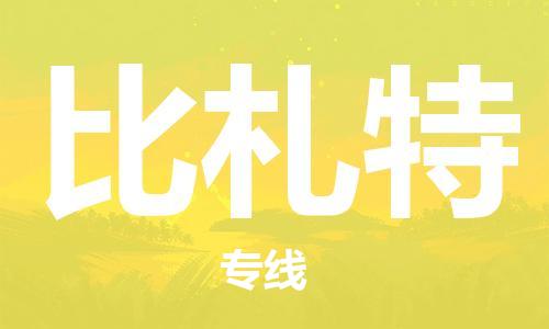 广州到比札特物流专线-广州到比札特货运（市-县区-直达配送）