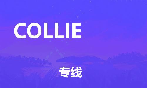 广州到COLLIE物流专线-广州至COLLIE货运操作简易的