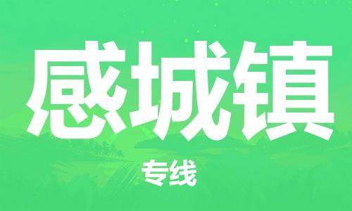 司前镇到感城镇物流专线|司前镇到感城镇危化品运输电动车托运