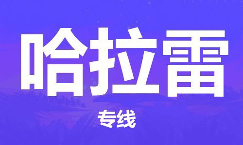 广州到哈拉雷物流专线-高性价比的广州至哈拉雷货运
