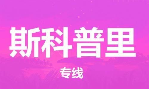 广州到斯科普里物流专线-精准可靠广州至斯科普里货运